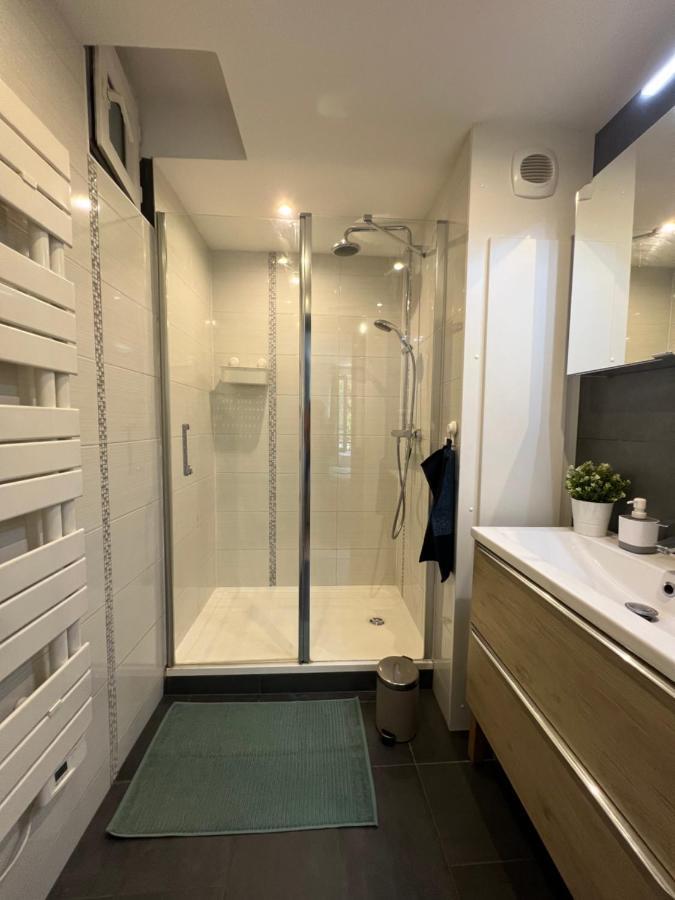 Confort Appartement Proche Gare Et Centre ستراسبورغ المظهر الخارجي الصورة
